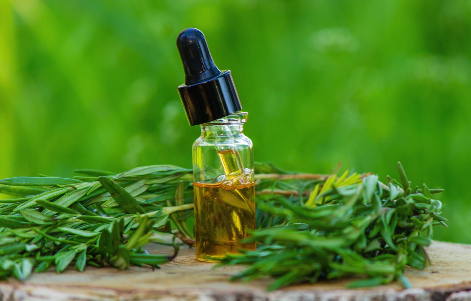 Premium Rosemary Extract Botanical Ingredient